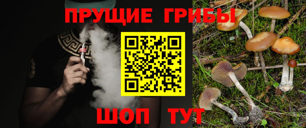 Псилоцибиновые грибы GOLDEN TEACHER Лесозаводск