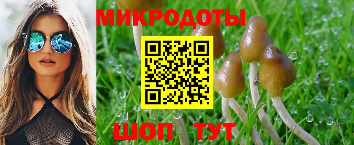 Галлюциногенные грибы Psilocybine cubensis  Вход с VPN  Псилоцибиновые грибы мицелий  Лесозаводск 